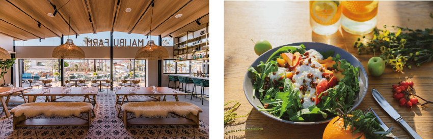 マリブファーム 逗子マリーナ《逗子市》