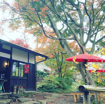 和カフェ「露庵」／鎌倉山ビアガーデン（夏季週末限定）