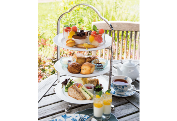 ＼旅のおすすめ／