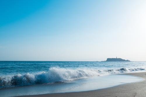 ふるさと納税で地元に恩返し