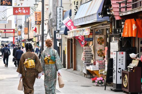 鎌倉で創業50周年