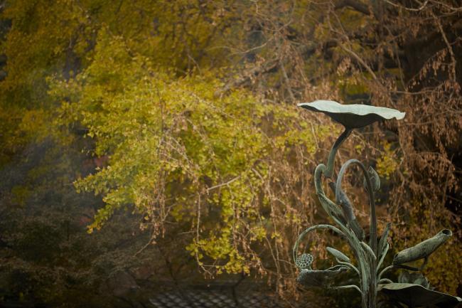 高徳院（鎌倉大仏）