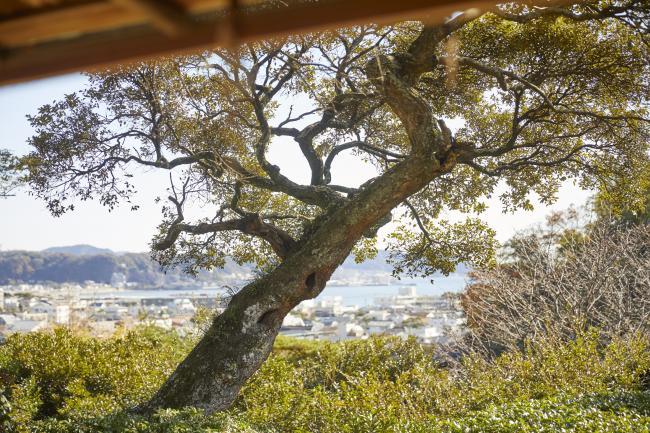 神霊教鎌倉錬成場（旧山本条太郎邸）