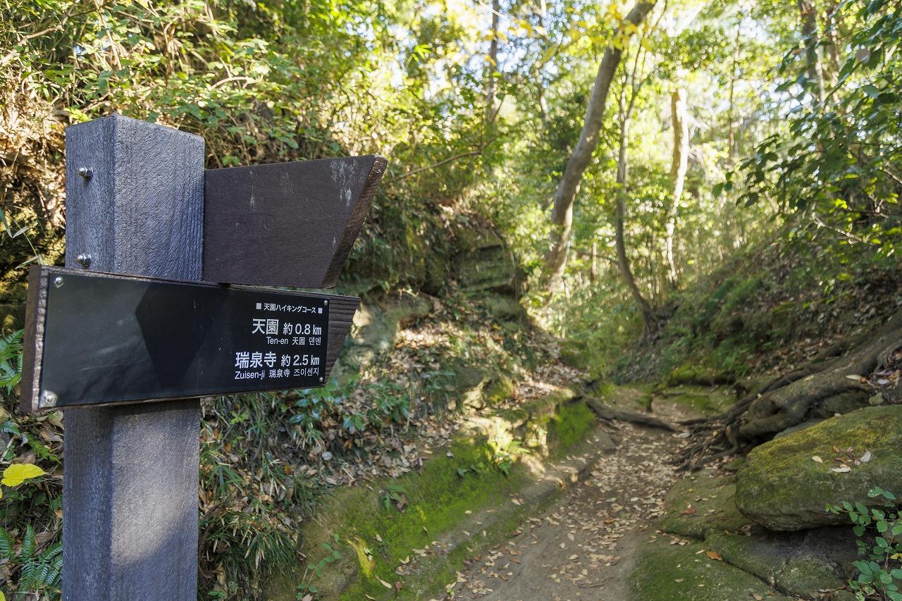 ハイキングコース・モデルコース