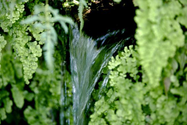 銭洗弁財天宇賀福神社