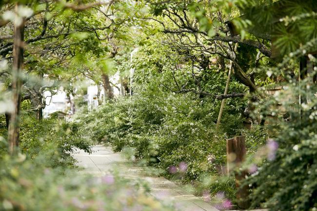 宝戒寺（はぎ寺）