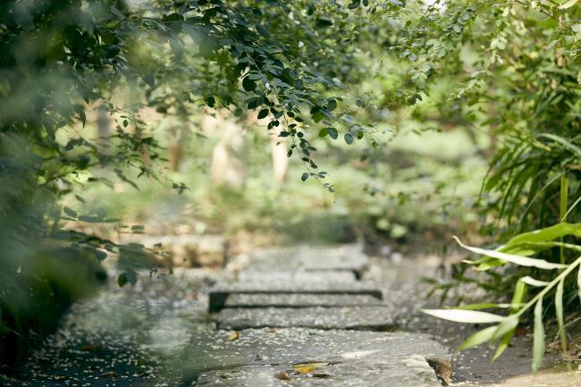 宝戒寺（はぎ寺）