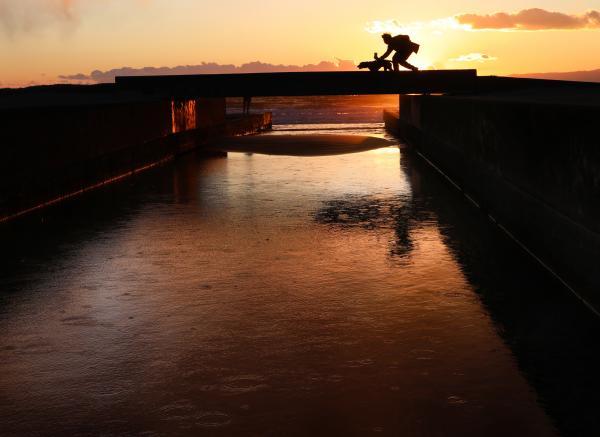 11月・12月 入選『突然の雨』