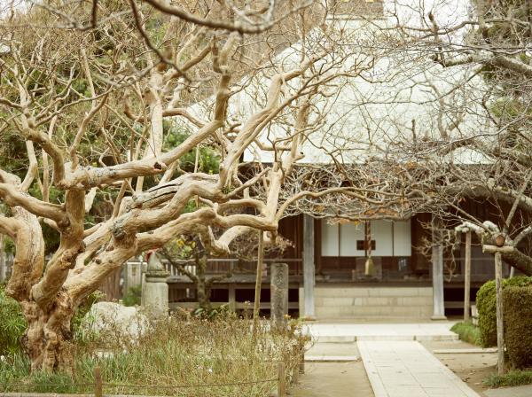 鎌倉市極楽寺3-6-7