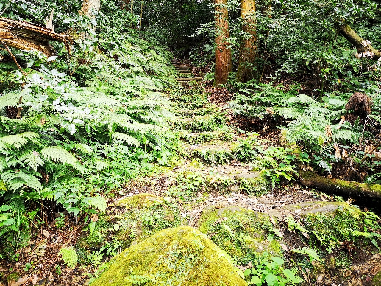 名越切通（鎌倉市大町～逗子市小坪）