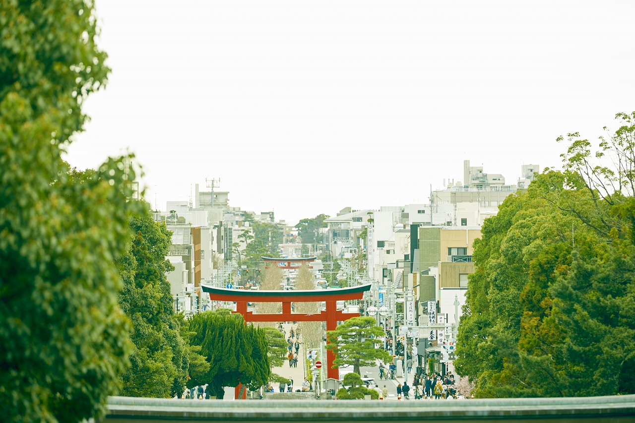 若宮大路（鎌倉市由比ガ浜の滑川橋たもと～鶴岡八幡宮三ノ鳥居までの約1,800メートル）