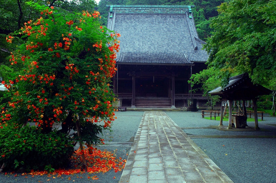 妙本寺（鎌倉市大町）