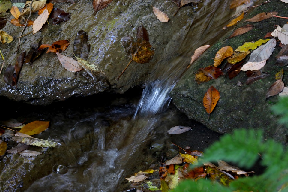 金沢街道でウォーキング（鎌倉市十二所〜横浜市金沢区朝比奈町）  
