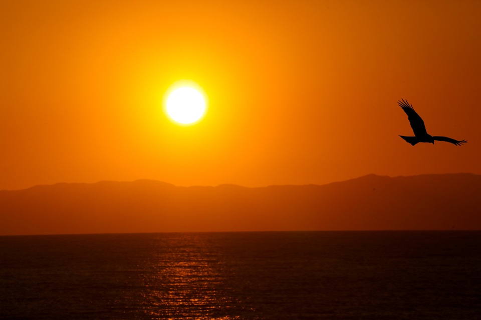 鎌倉海浜公園稲村ガ崎地区（稲村ヶ崎）