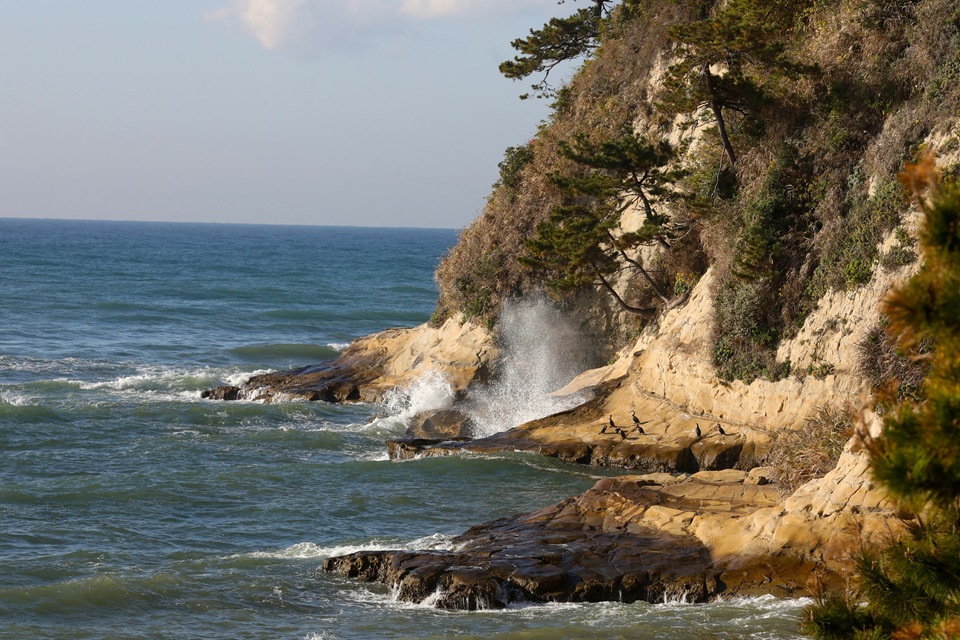 鎌倉海浜公園稲村ガ崎地区（稲村ヶ崎）