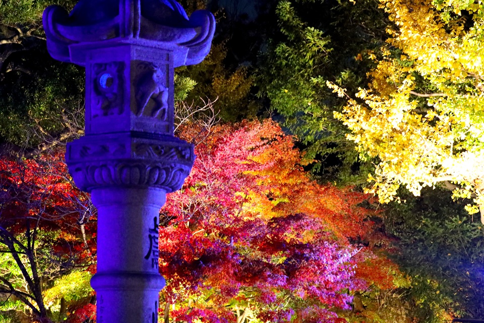 長谷寺（長谷）