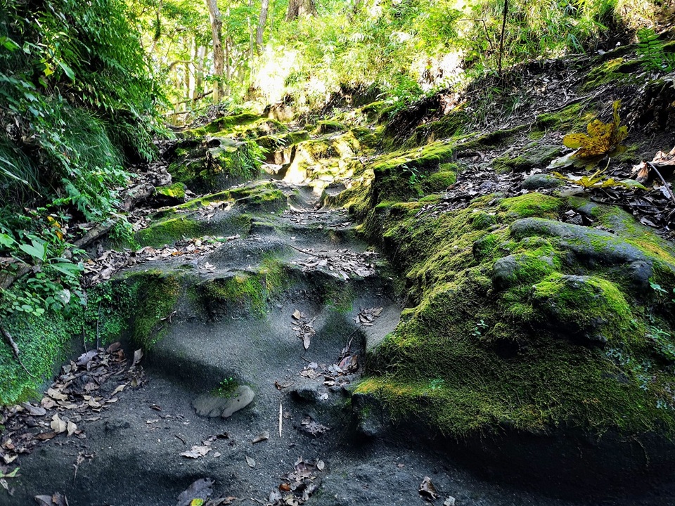 仮粧坂（鎌倉市扇ガ谷）