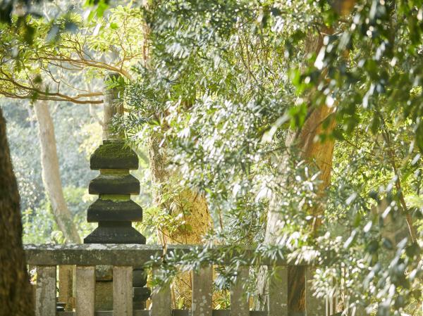 ​鎌倉市西御門2-687