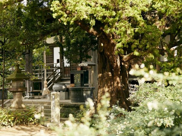 ​鎌倉市小町3-5-22