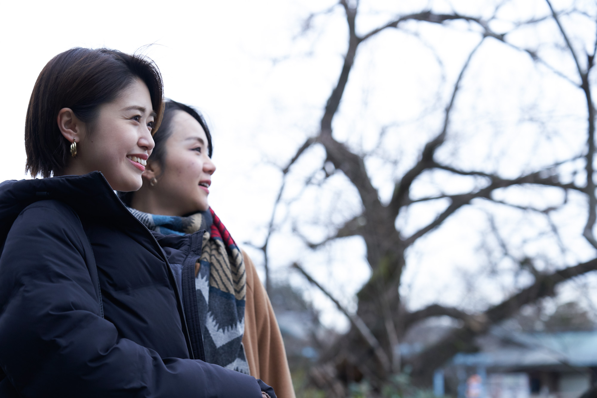 鎌倉は「朝まいり」が吉。清々しい鎌倉の街をゆったり観光