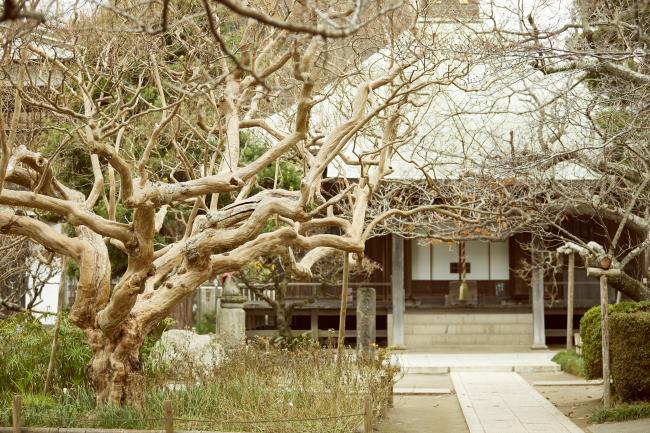 鎌倉の日本遺産「鎌倉『参詣』ルート 」