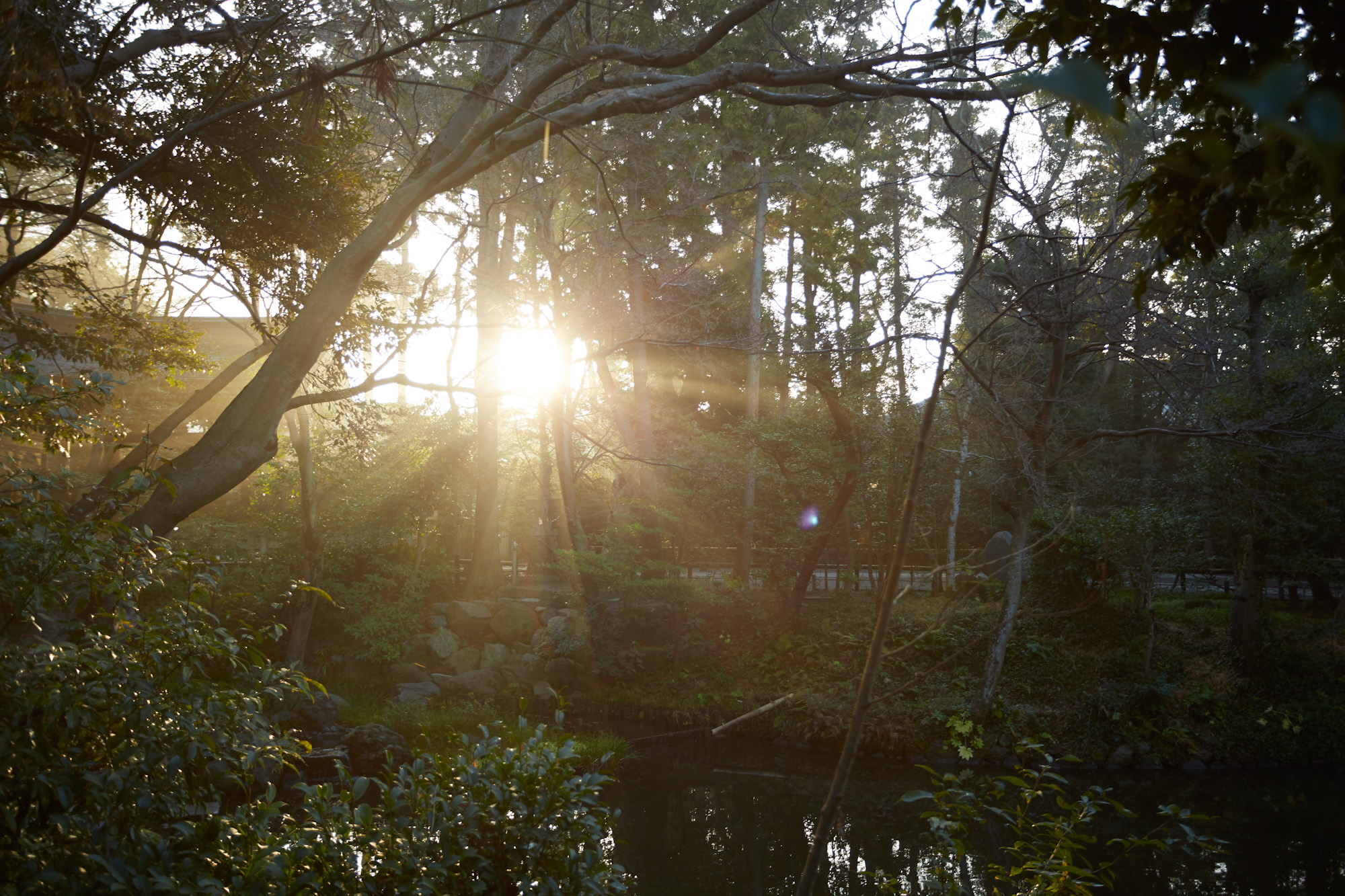 朝まいりは三文の得。鎌倉の朝を楽しもう