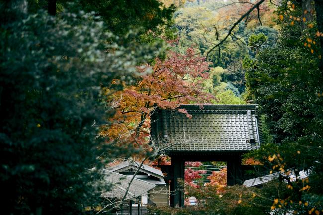 円覚寺（滞在時間約40分）