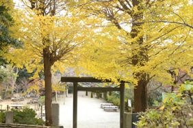 葛󠄀原岡神社