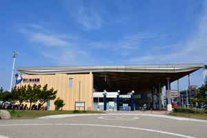 新江ノ島水族館写真4