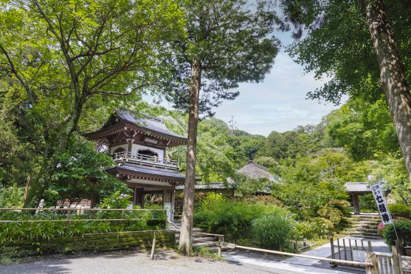 浄智寺の境内の写真