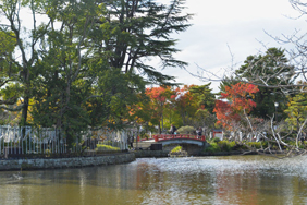 鶴岡八幡宮