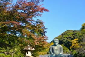 高徳院