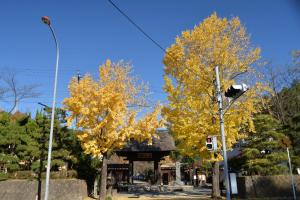 龍宝寺1203