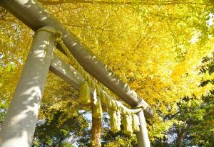 葛原岡神社1205