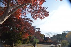 源氏山公園1205