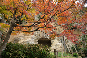 瑞泉寺20241212