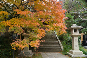 長勝寺20241212