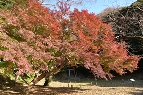 法華堂跡20241212