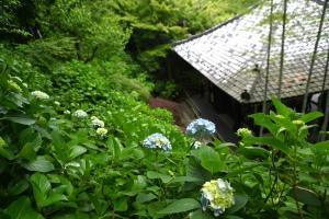 長谷寺0526②
