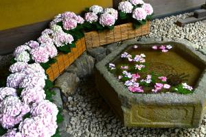 一条恵観山荘0526②