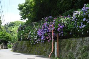 通玄橋~瑞泉寺への道沿い0616②