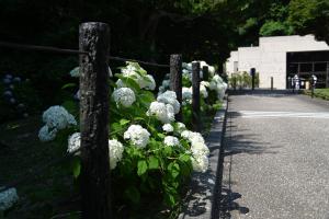 歴史文化交流館アナベル