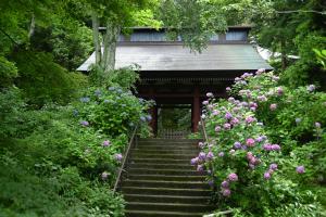妙法寺0626