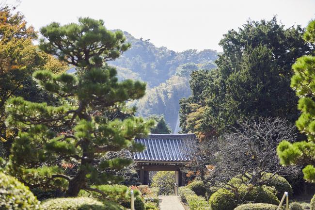 浄妙寺の写真3