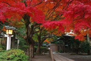 秋の情景（写真提供：鎌倉市観光協会）